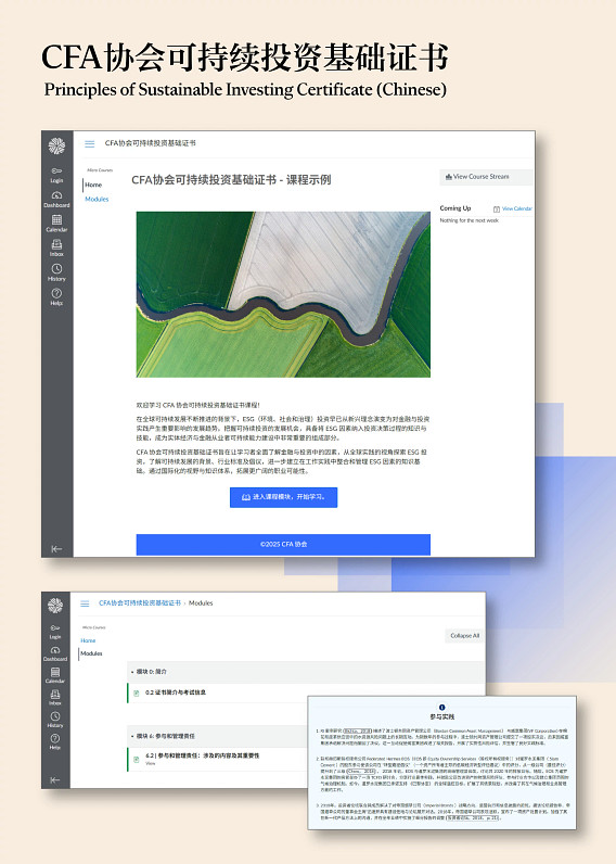 sample view of the CSC1 learning ecosystem